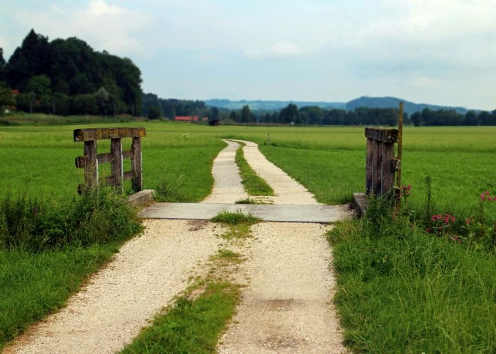 pathway in a field
